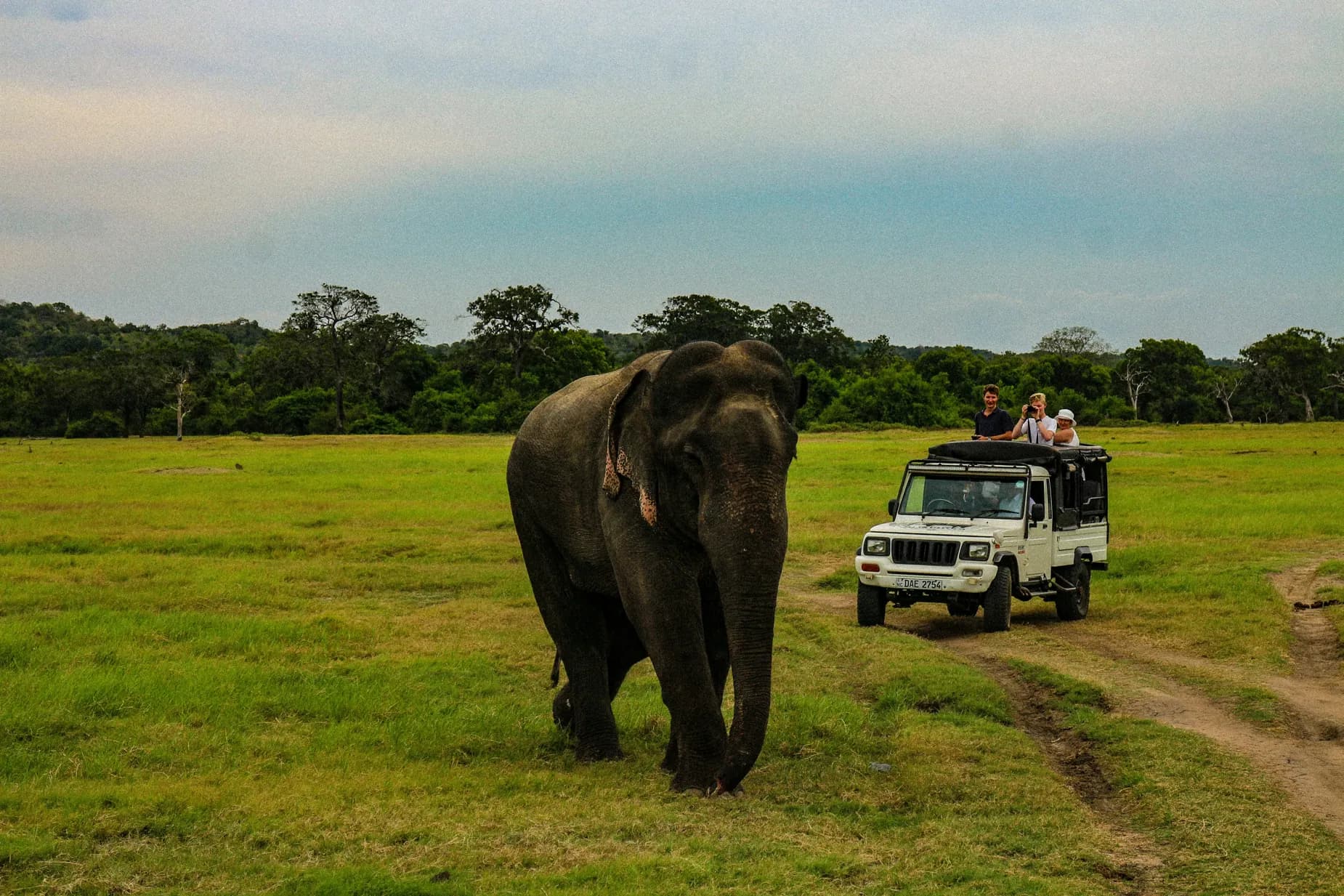 Sri Lanka scenery for Culture & Safari Explorer