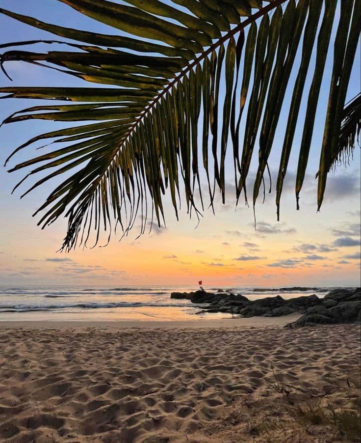 Bentota Beach & Madu River Watersports