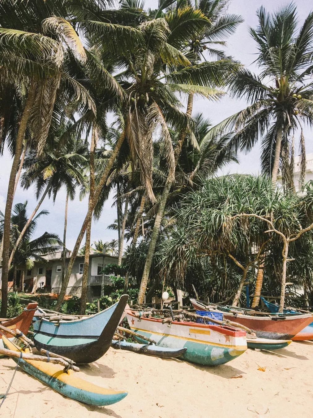 Luxury travel in Sri Lanka
