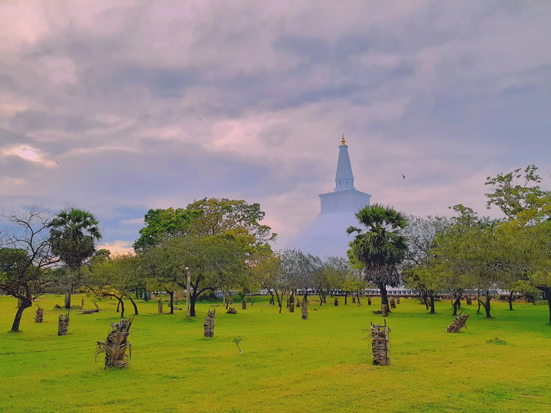 Anuradhapura Ancient Sacred City
